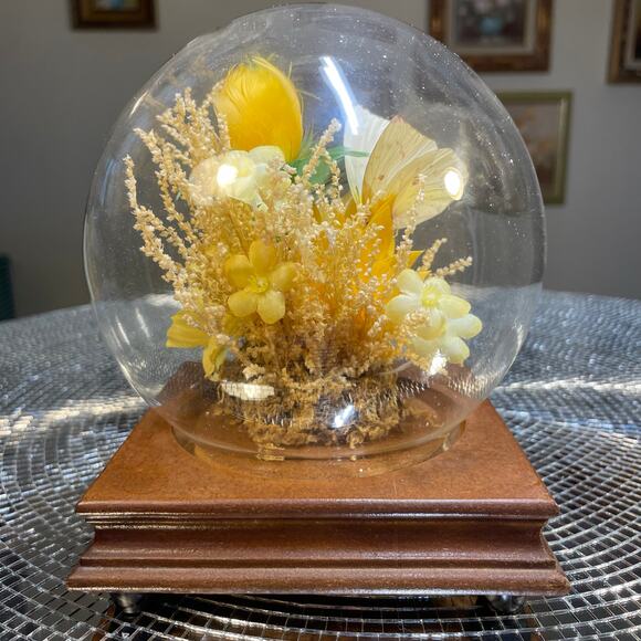 other Other - vintage taxidermy butterfly in globe yellow MCM
